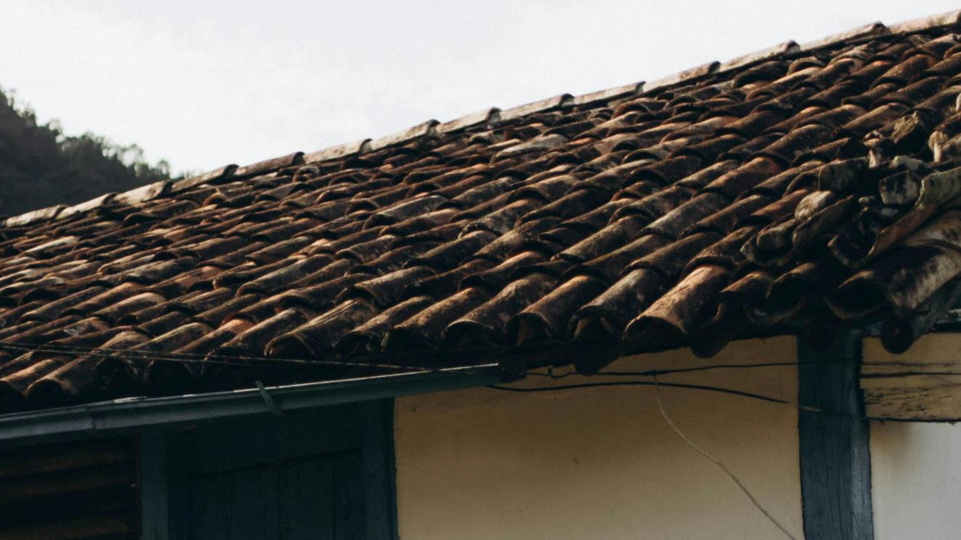 Featured image for “The Hidden Costs of Waiting: Roof Replacement Before Snow Comes”